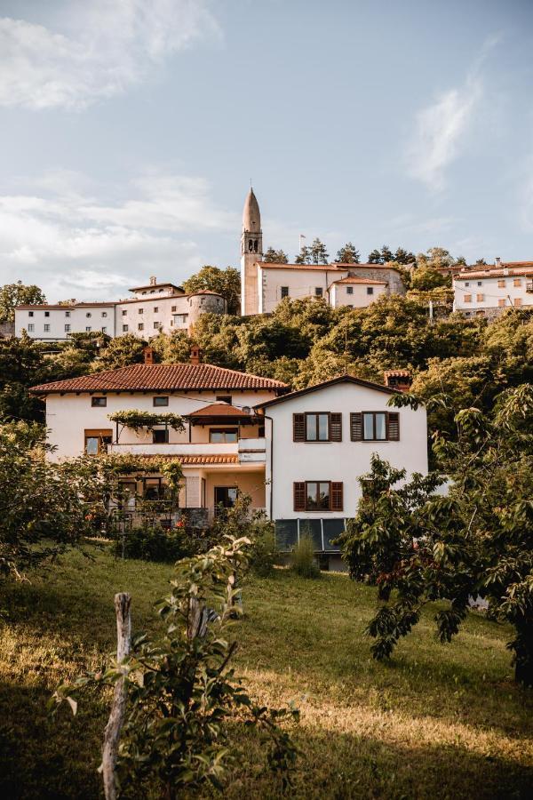 Vina Kobal, Kobal Family Estate Apartment Stanjel Bagian luar foto