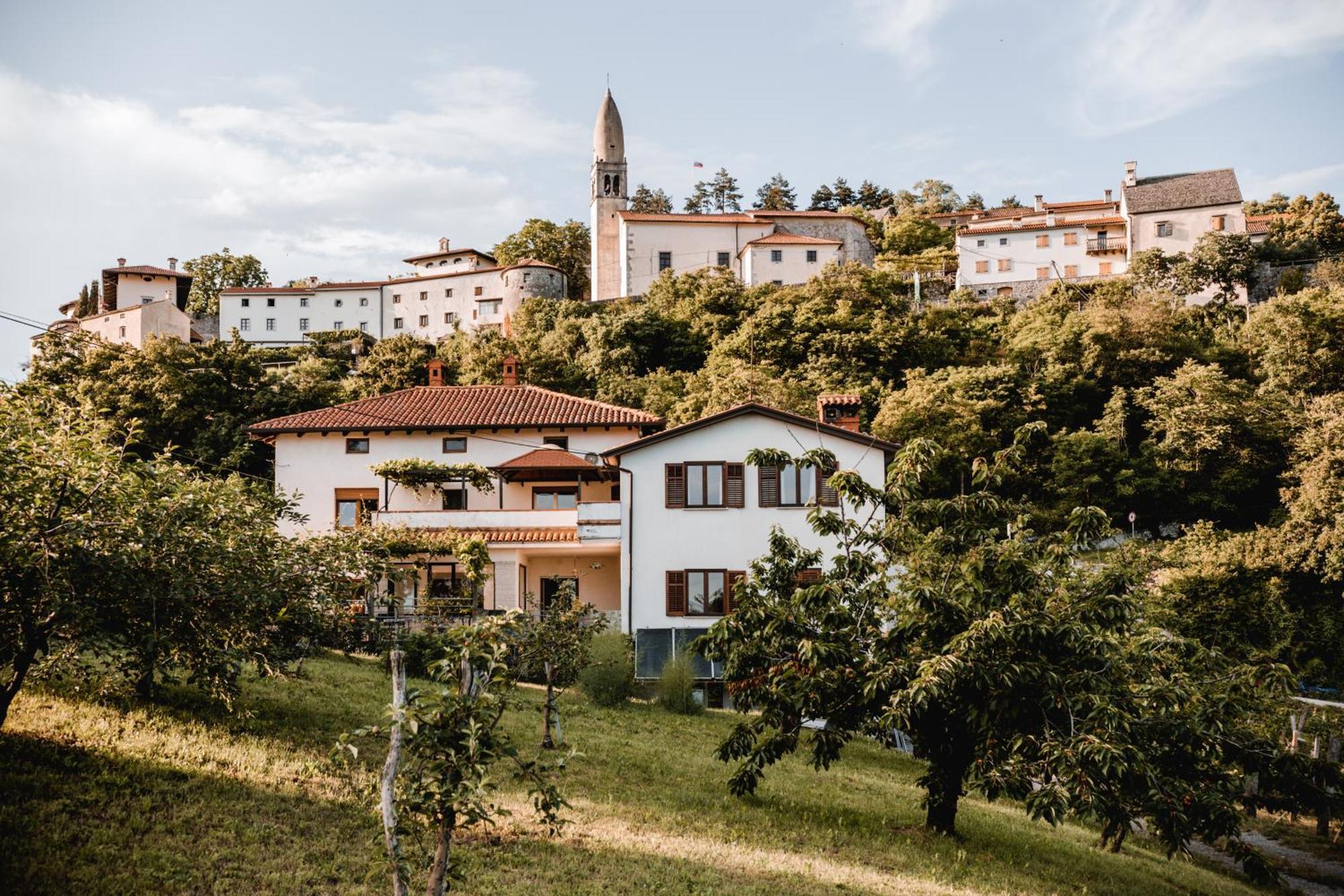 Vina Kobal, Kobal Family Estate Apartment Stanjel Bagian luar foto